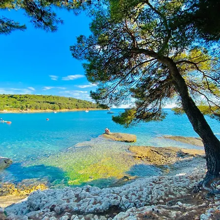 Noel - Three Bedroom With Pool *