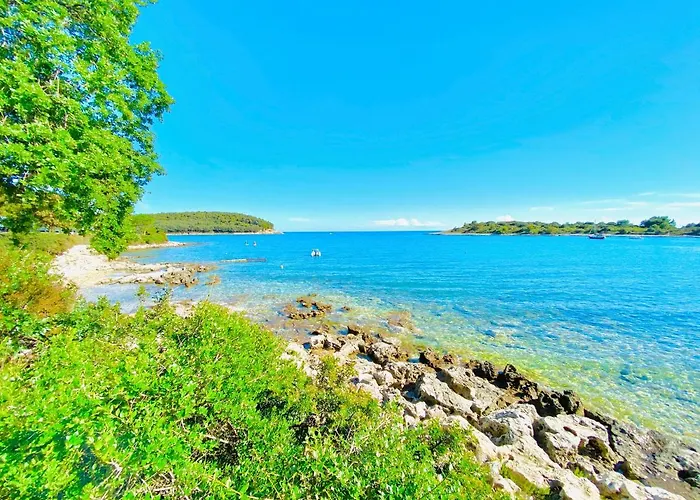 Lejlighed Noel - Three Bedroom With Pool